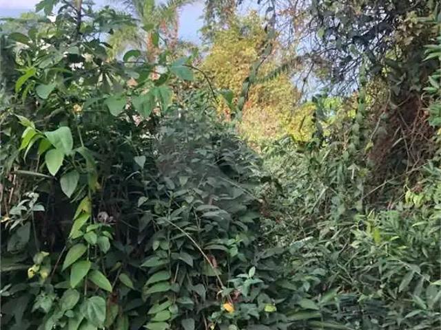 Terreno / Lote para Venda em São Vicente/SP Ilha Porchat