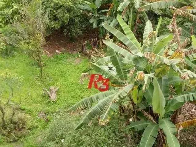 Terreno / Lote para Venda em São Vicente/SP Parque Bitaru