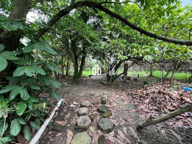 Terreno / Lote para Venda em São Vicente/SP Parque Bitaru