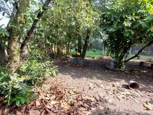 Terreno / Lote para Venda em São Vicente/SP Parque Bitaru