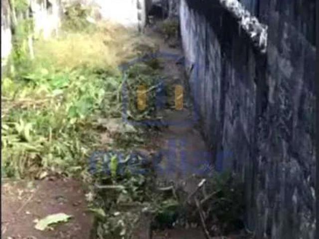 Terreno / Lote para Venda em São Vicente/SP Parque Bitaru