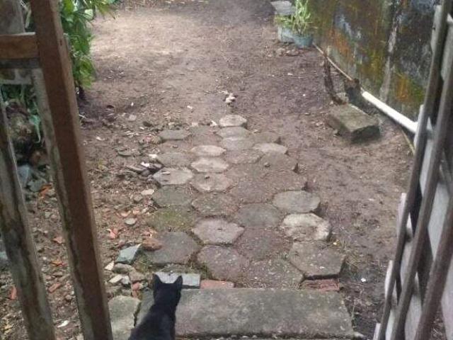 Terreno / Lote para Venda em São Vicente/SP Parque São Vicente