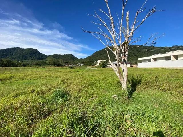 Terreno / Lote para Venda em Schroeder/SC Bracinho