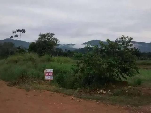 Terreno / Lote para Venda em Schroeder/SC Centro