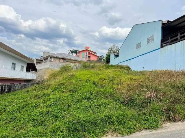 Terreno / Lote para Venda em Schroeder/SC Centro