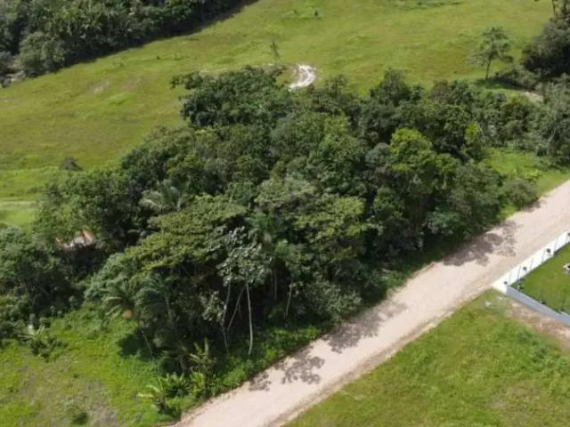 Terreno / Lote para Venda em Schroeder/SC Centro