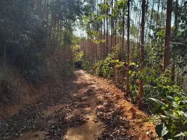 Terreno / Lote para Venda em Santa Teresa/ES Alto Caldeirão