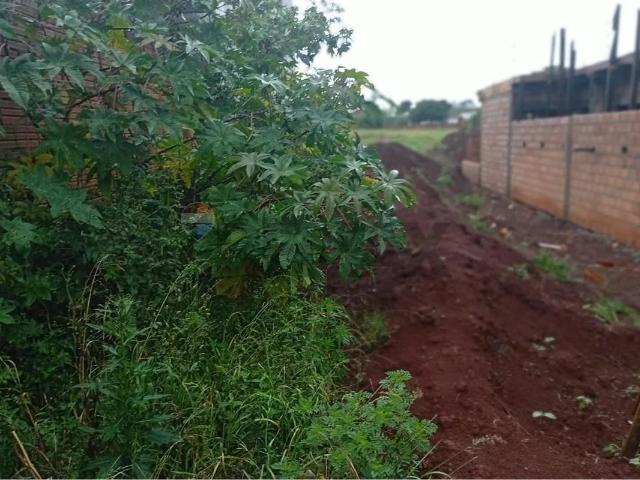 Terreno / Lote para Venda em Santa Tereza do Oeste/PR Centro