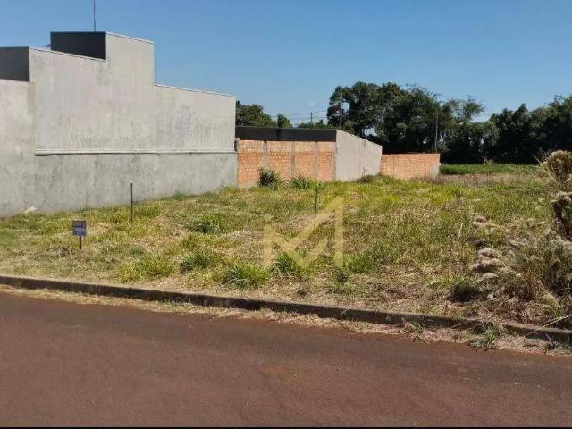 Terreno / Lote para Venda em Santa Tereza do Oeste/PR Centro