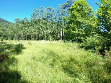 Terreno / Lote para Venda em Santa Tereza/RS Zona Rural