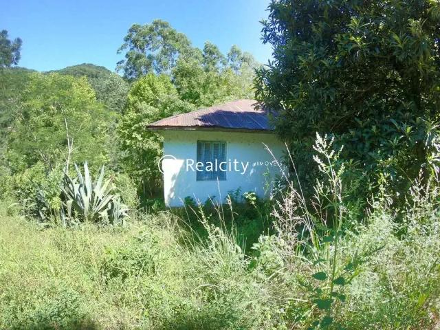 Terreno / Lote para Venda em Santa Tereza/RS Zona Rural