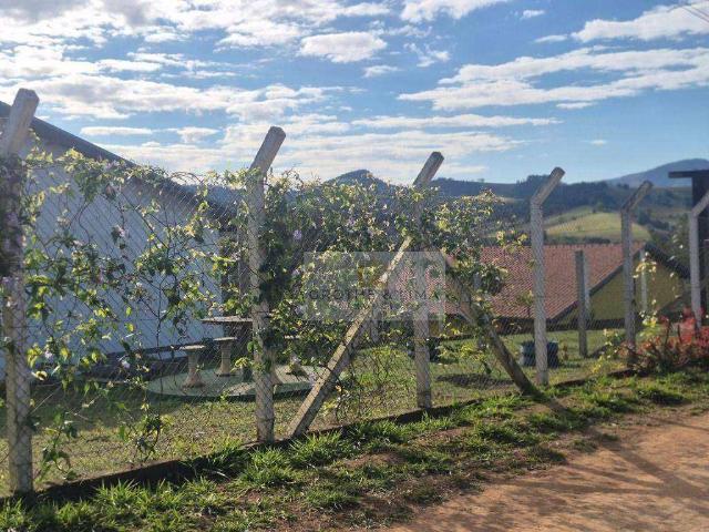 Terreno / Lote para Venda em Santa Vitória/MG Zona Rural