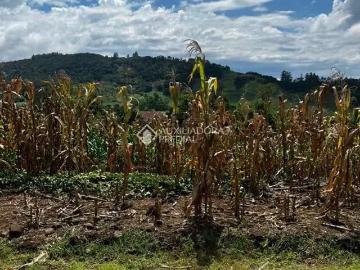 Terreno / Lote para Venda em Santa Clara do Sul/RS Centro