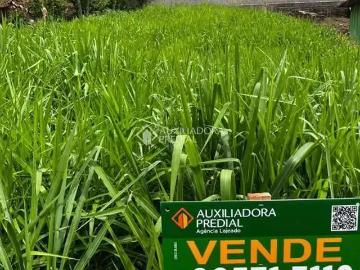 Terreno / Lote para Venda em Santa Clara do Sul/RS Centro