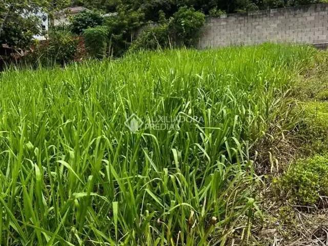 Terreno / Lote para Venda em Santa Clara do Sul/RS Centro