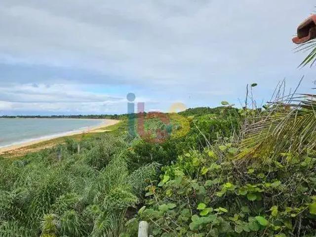 Terreno / Lote para Venda em Santa Cruz Cabrália/BA Mutari
