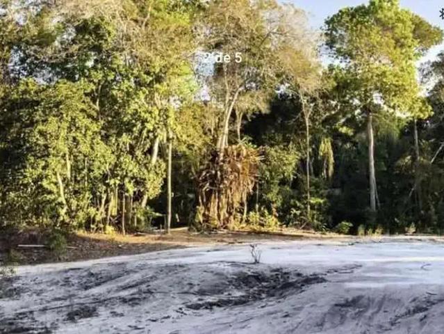 Terreno / Lote para Venda em Santa Cruz Cabrália/BA Praia de Lençóis