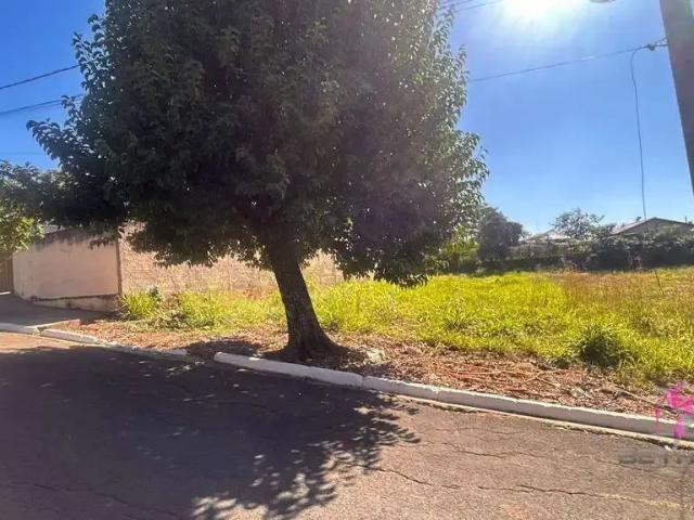 Terreno / Lote para Venda em Santa Cruz da Conceição/SP Centro