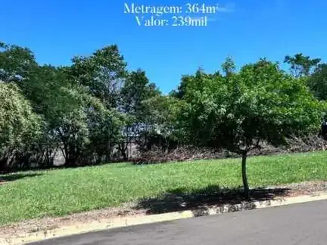 Terreno / Lote para Venda em Santa Cruz da Conceição/SP Jardim Residencial Flor do Ypê
