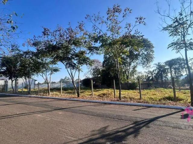 Terreno / Lote para Venda em Santa Cruz da Conceição/SP Santa Julieta