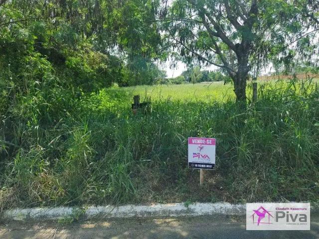 Terreno / Lote para Venda em Santa Cruz da Conceição/SP Santa Julieta