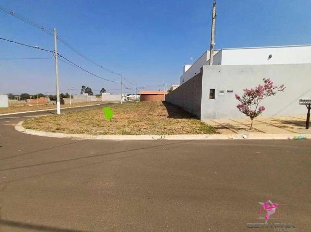 Terreno / Lote para Venda em Santa Cruz da Conceição/SP Residencial Tambolini