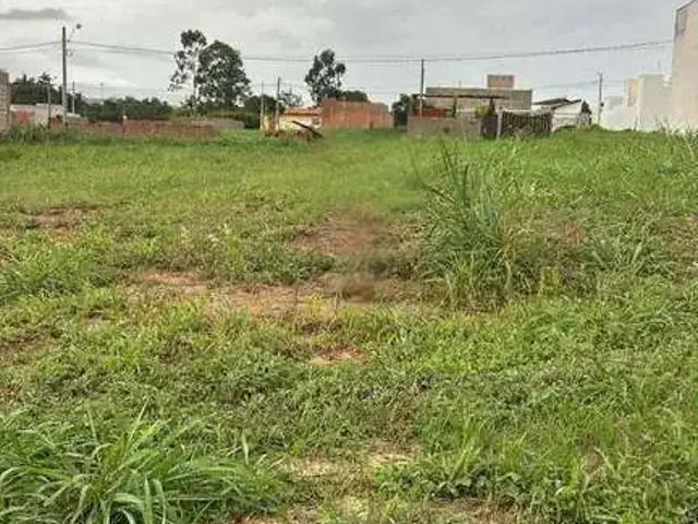 Terreno / Lote para Venda em Santa Cruz da Conceição/SP Residencial Tambolini