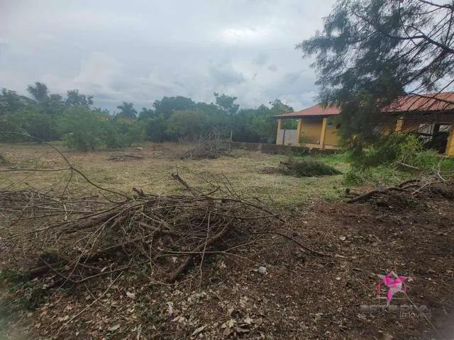 Terreno / Lote para Venda em Santa Cruz da Conceição/SP Vila Portal do Lago