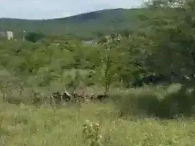 Terreno / Lote para Venda em Santa Cruz do Capibaribe/PE Nova Santa Cruz