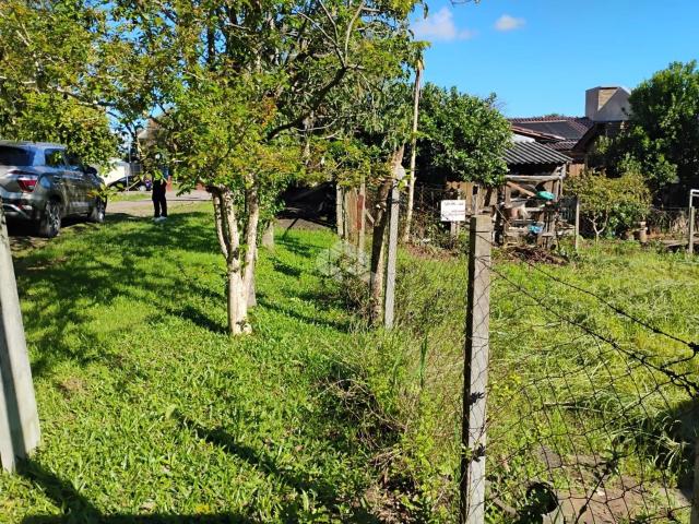 Terreno / Lote para Venda em Santa Cruz do Sul/RS Monte Verde