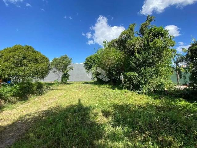 Terreno / Lote para Venda em Santa Cruz do Sul/RS Avenida
