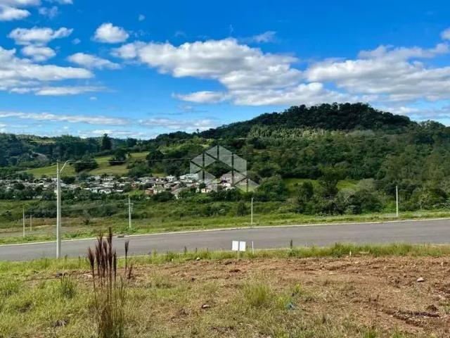Terreno / Lote para Venda em Santa Cruz do Sul/RS Aliança