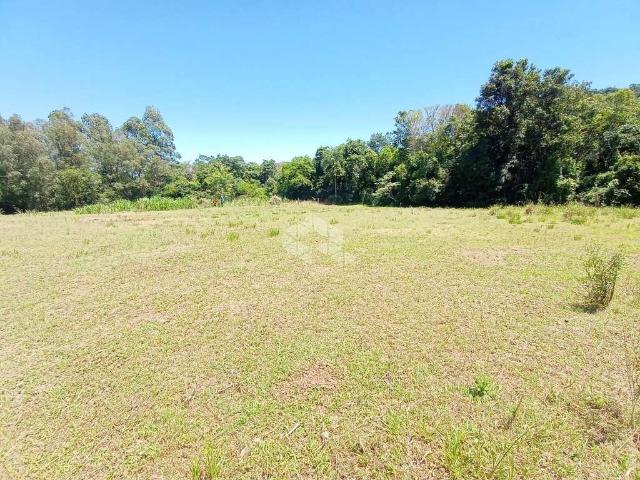 Terreno / Lote para Venda em Santa Cruz do Sul/RS Aliança