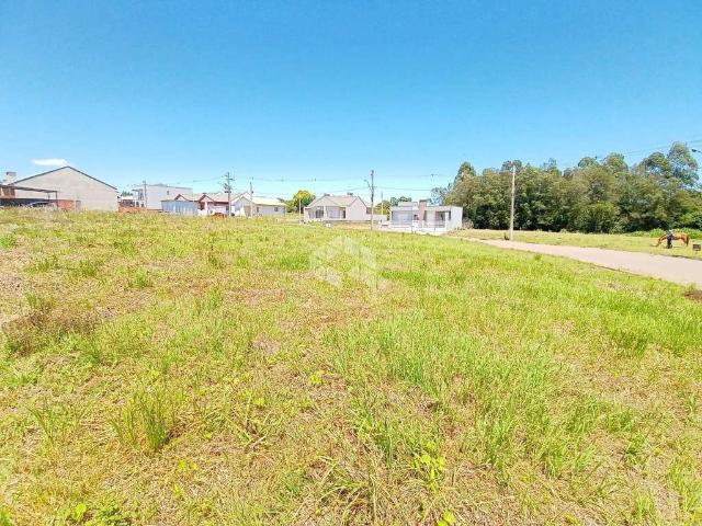 Terreno / Lote para Venda em Santa Cruz do Sul/RS Aliança