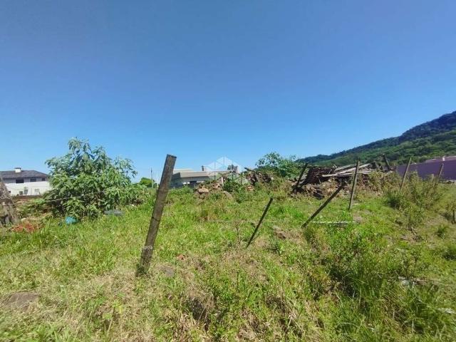 Terreno / Lote para Venda em Santa Cruz do Sul/RS Aliança
