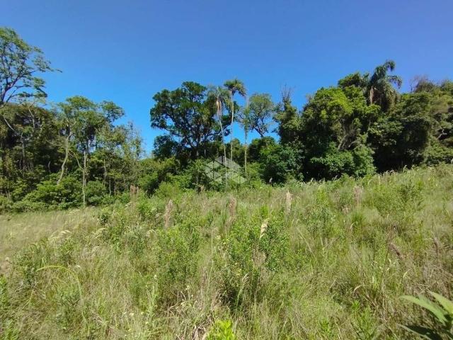 Terreno / Lote para Venda em Santa Cruz do Sul/RS Aliança