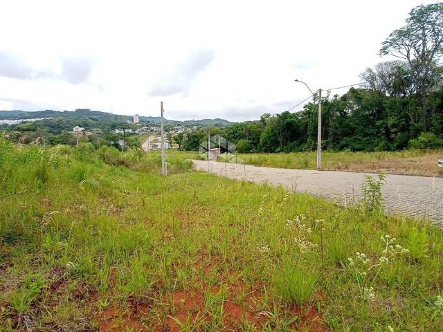 Terreno / Lote para Venda em Santa Cruz do Sul/RS Aliança