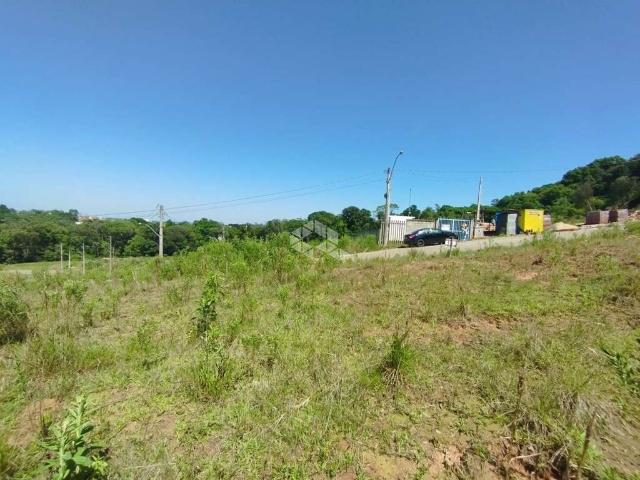 Terreno / Lote para Venda em Santa Cruz do Sul/RS Aliança