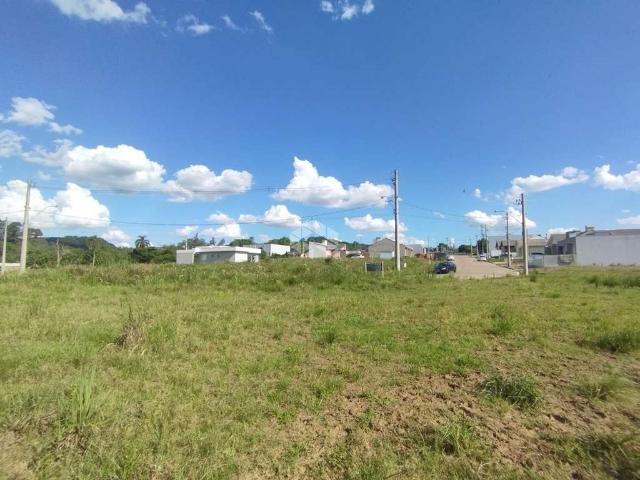 Terreno / Lote para Venda em Santa Cruz do Sul/RS Aliança