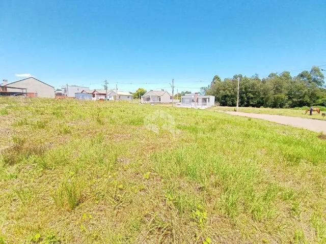 Terreno / Lote para Venda em Santa Cruz do Sul/RS Aliança