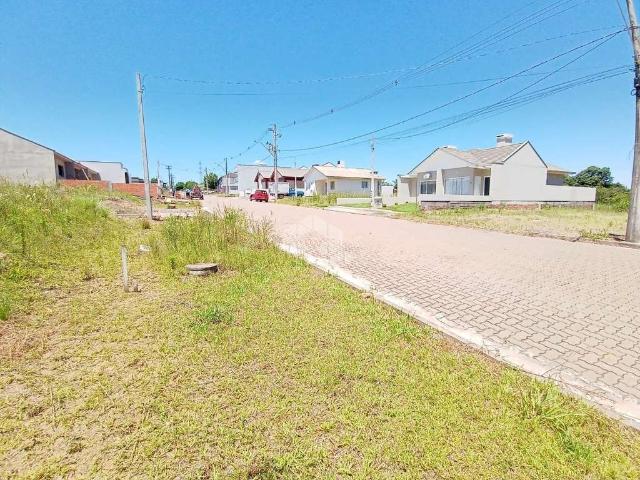 Terreno / Lote para Venda em Santa Cruz do Sul/RS Aliança