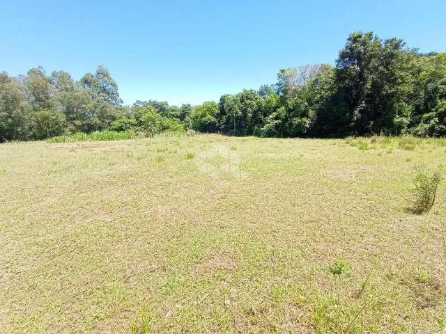 Terreno / Lote para Venda em Santa Cruz do Sul/RS Aliança