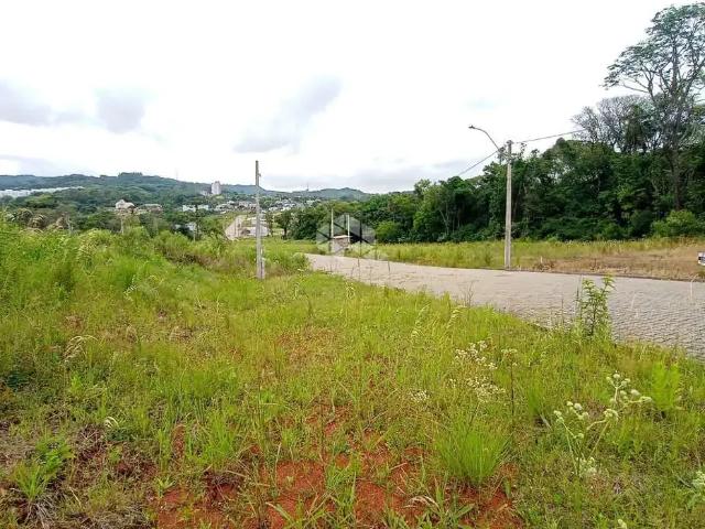 Terreno / Lote para Venda em Santa Cruz do Sul/RS Aliança
