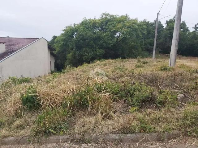 Terreno / Lote para Venda em Santa Cruz do Sul/RS Aliança