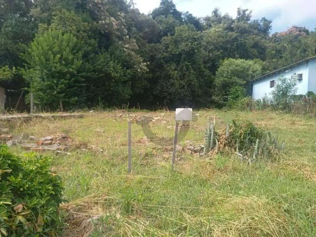 Terreno / Lote para Venda em Santa Cruz do Sul/RS Ana Nery