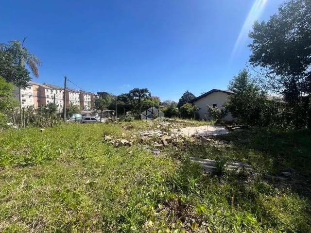 Terreno / Lote para Venda em Santa Cruz do Sul/RS Ana Nery