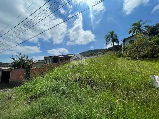 Terreno / Lote para Venda em Santa Cruz do Sul/RS Arroio Grande