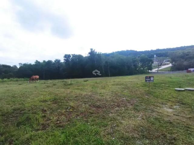 Terreno / Lote para Venda em Santa Cruz do Sul/RS Arroio Grande
