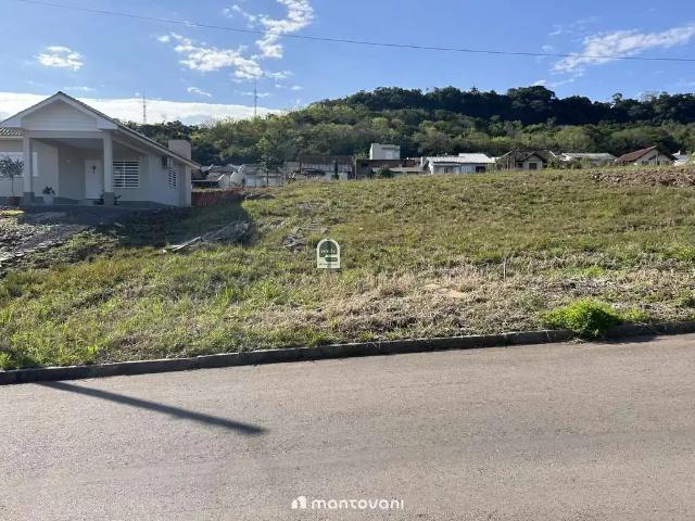 Terreno / Lote para Venda em Santa Cruz do Sul/RS Arroio Grande