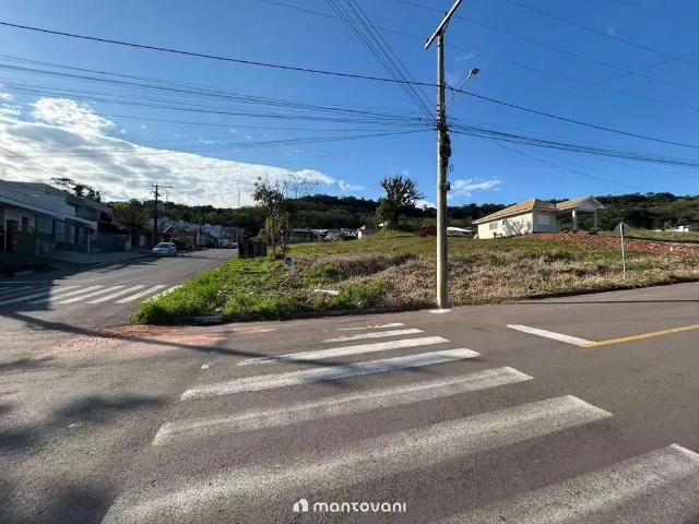 Terreno / Lote para Venda em Santa Cruz do Sul/RS Arroio Grande